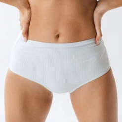 Blue Pinstripe High-Waisted Bottoms -Swimwear Specialty Shop 369A0052 c8c4f7a8 4170 4e6c b73c 76554a235286