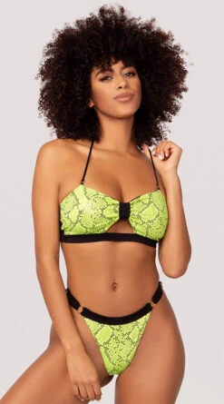 Yandy Snake Charmer Bandeau Top -Swimwear Specialty Shop EY 4218T EY 4218B YANDY SNAKE BIKINI SWIMSUIT GREEN 7