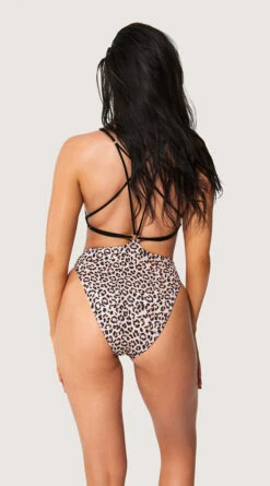 Playboy Leopard Vibes One Piece Swimsuit -Swimwear Specialty Shop PB EY4339 MULTI B 2022JUNE48744